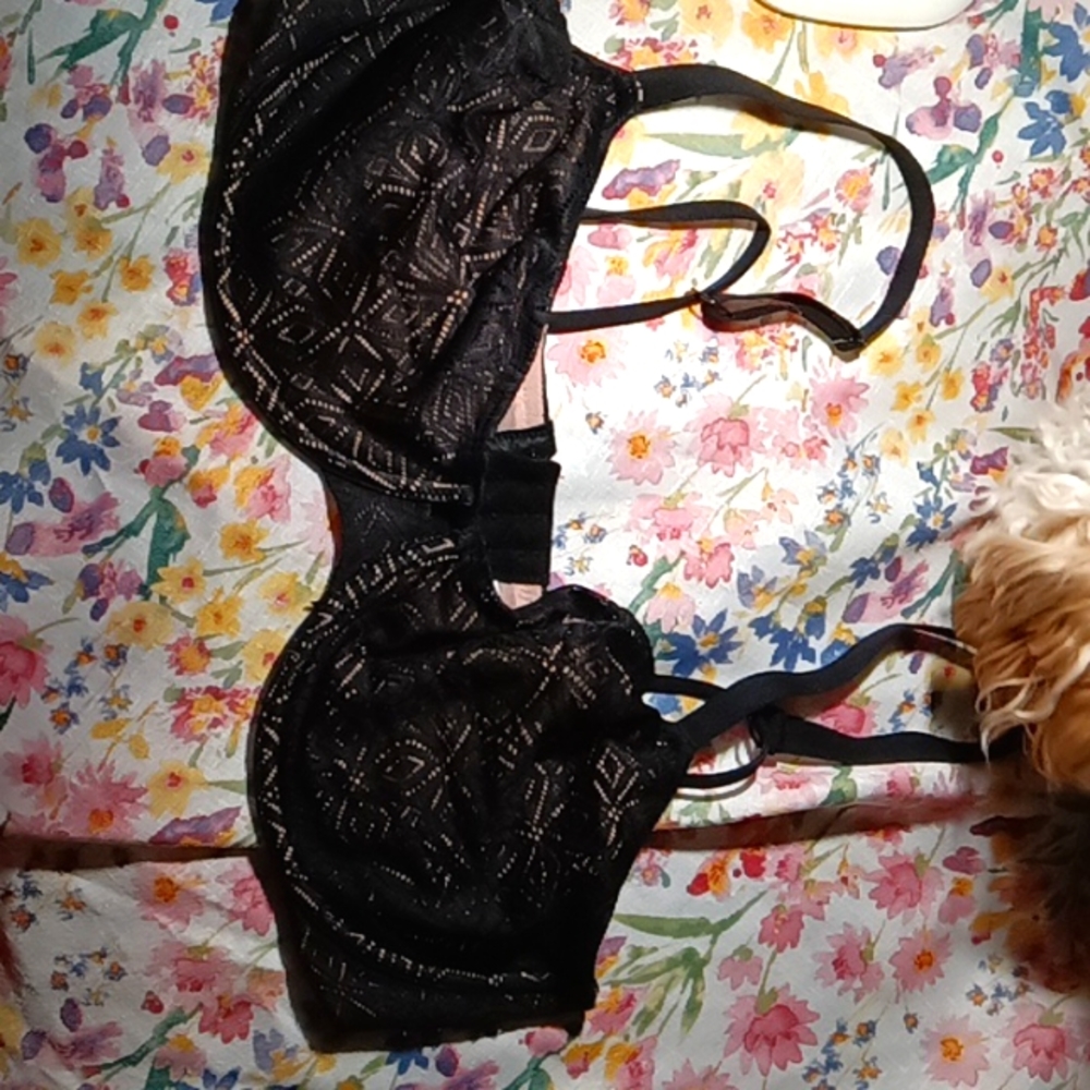 Auden bra